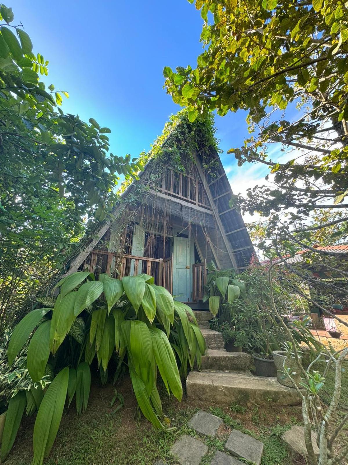 Villa Ovita Talpe Zewnętrze zdjęcie